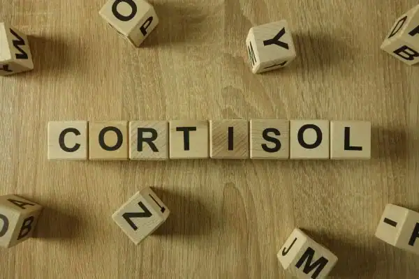Image saying "Cortisol" and how stress Melksham impacts your wellbeing and bodies shape
